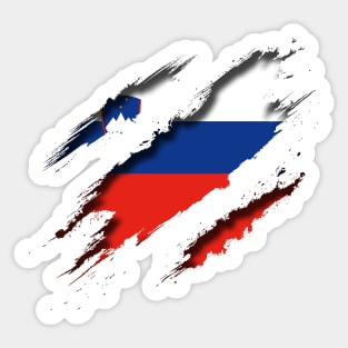 Slovenia Shredding Sticker